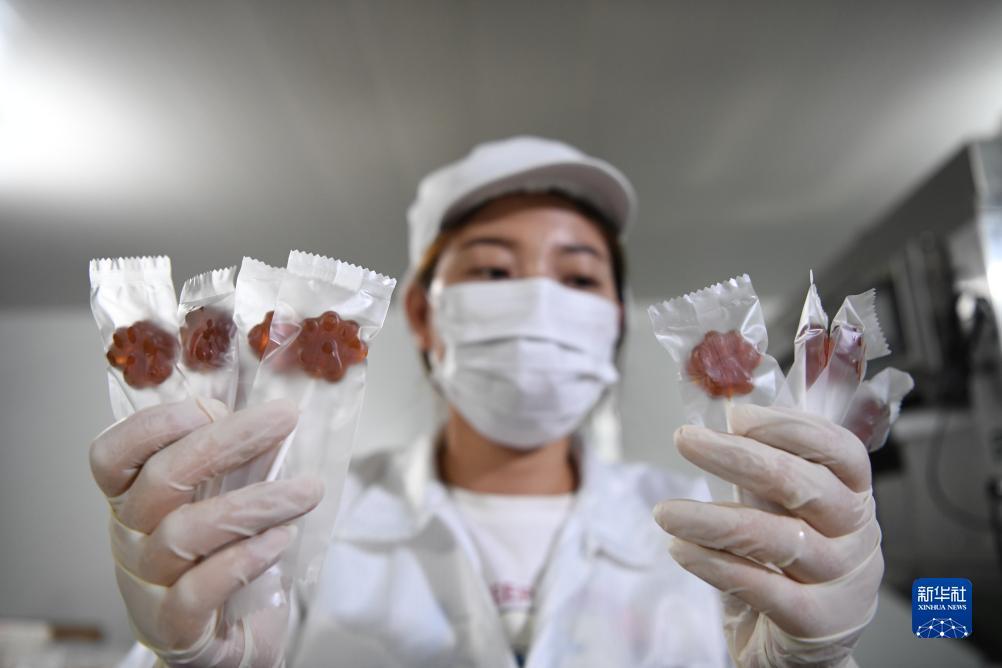 大阳城娱乐贵宾厅